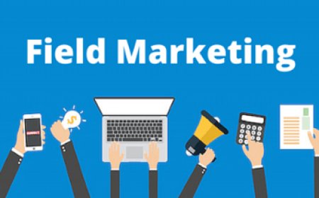 How Can a Field Sales and Marketing Agency Help You Grow?