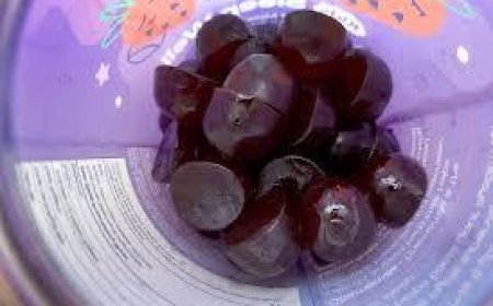 Melatonin Sleep Gummy Market: Size, Trends, and Strategic Outlook to 2032