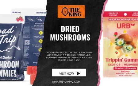 Why Dried Mushrooms Are Taking Over Florida’s Wellness Scene