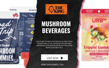 Refreshing and Functional: The Rise of Mushroom Beverages in Florida