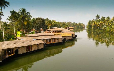 Hidden Trails & Tall Tea Leaves: Offbeat Munnar Adventures