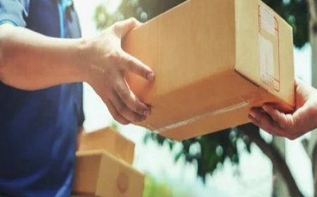 Parcel Delivery Logistics Market Growth and Trends 2025 to 2032