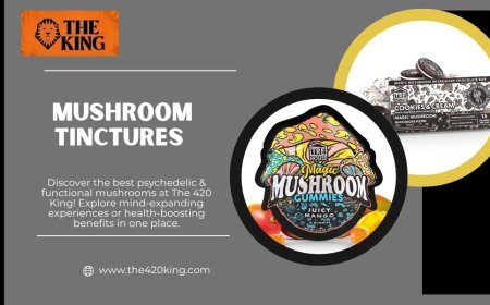 Mushroom Tinctures in Florida: The Natural Boost You’ve Been Searching For