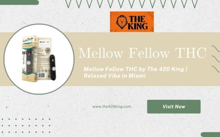 Feel the Flow with Mellow Fellow THC – Premium Vapes by The 420 King
