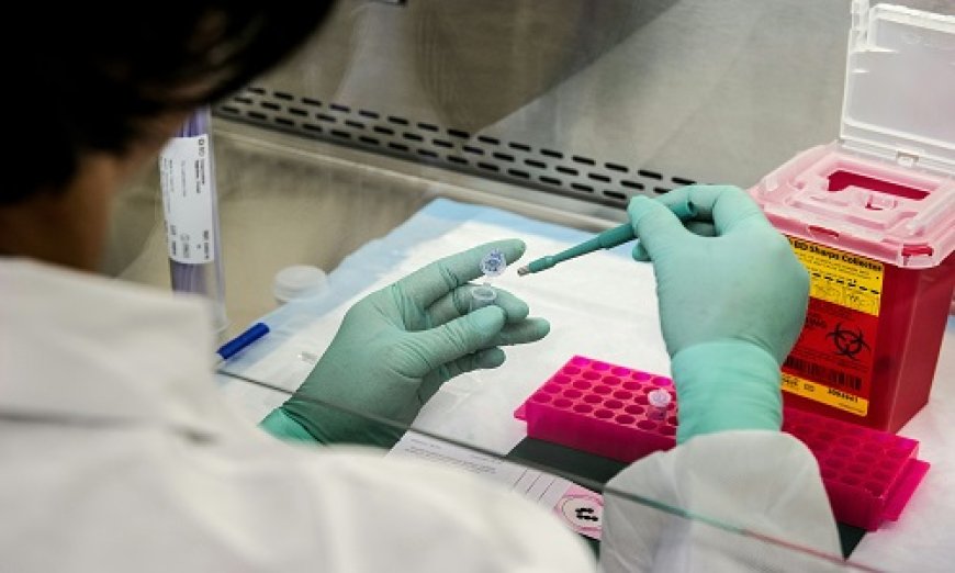 CD Bioglyco Unveils GlycoCLICK Solutions: A Powerful Platform for Streamlined Antibody Glycoengineering and Conjugation