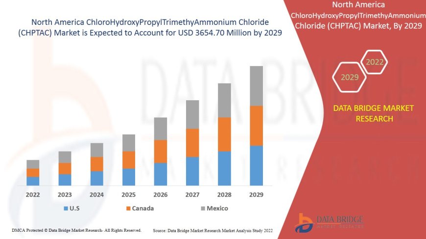 North America ChloroHydroxyPropylTrimethyAmmonium Chloride (CHPTAC) Market Value with Status and Analysis 2029