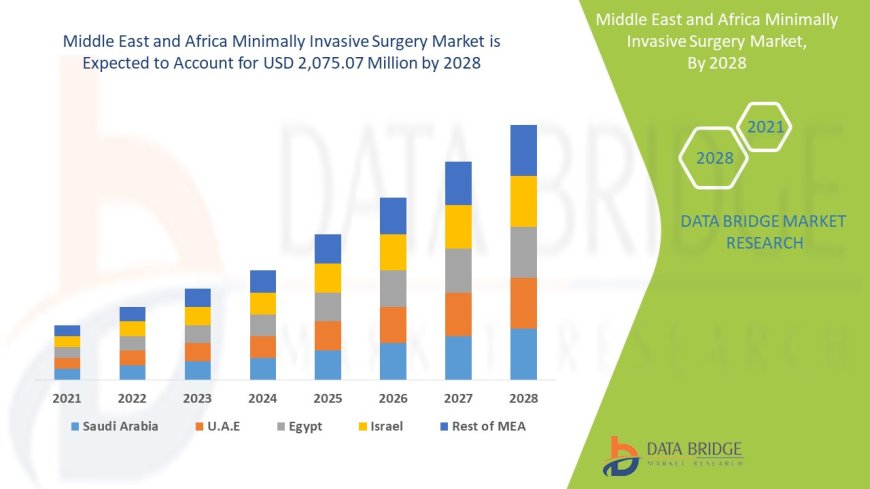 Middle East and Africa Minimally Invasive Surgery Market Value with Status and Analysis 2028