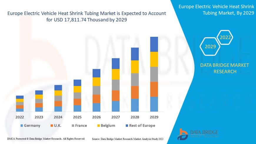 Europe Electric Vehicle Heat Shrink Tubing Market Value with Status and Analysis 2029
