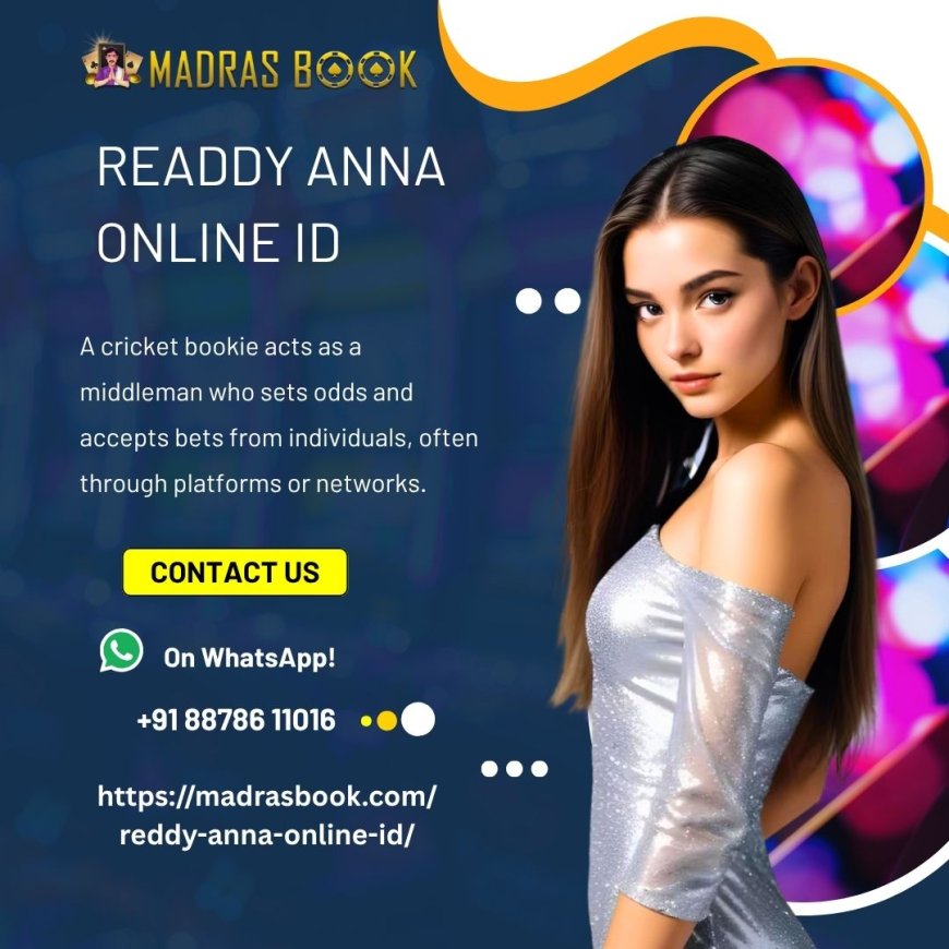Women in online betting: trends, challenges, and growth