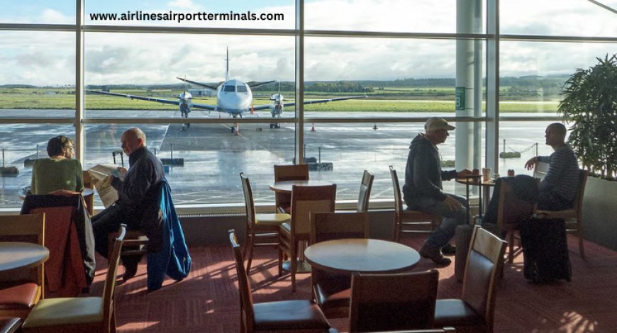 What to Expect at the French Bee Newark Terminal: Travel Tips for Flyers