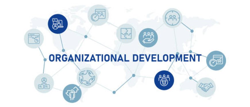How CIPD Aligns with Organizational Development Goals