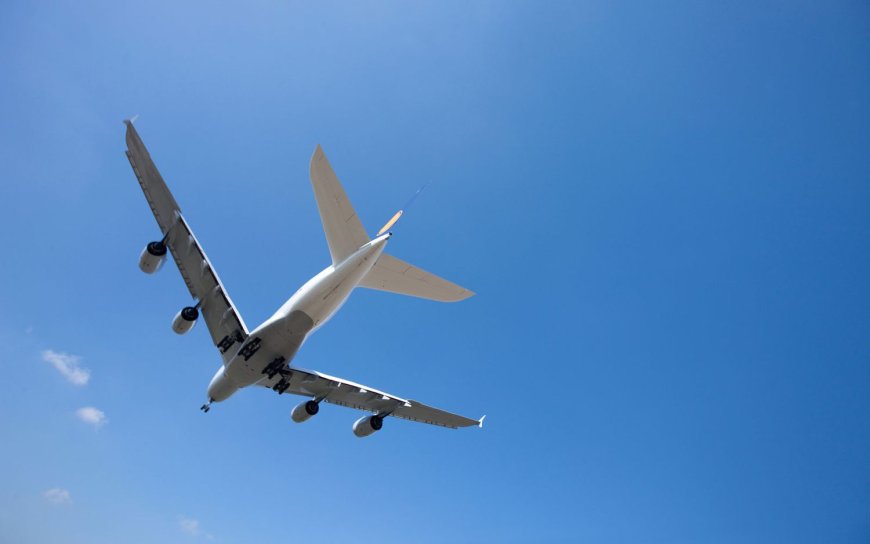 Flight Delayed? How to Talk to a Human at Southwest or Frontier