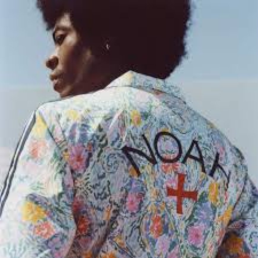 How Did Noah NYS Become Popular