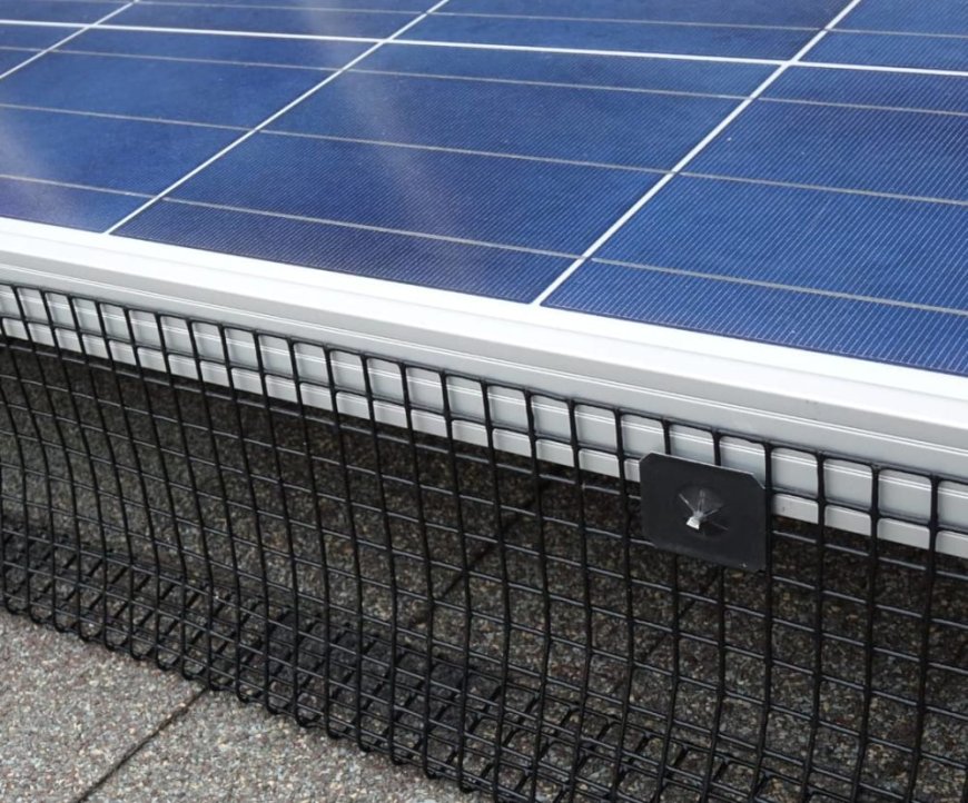 Protect Your Panels: Why Solar Panel Bird Mesh Installation Matters