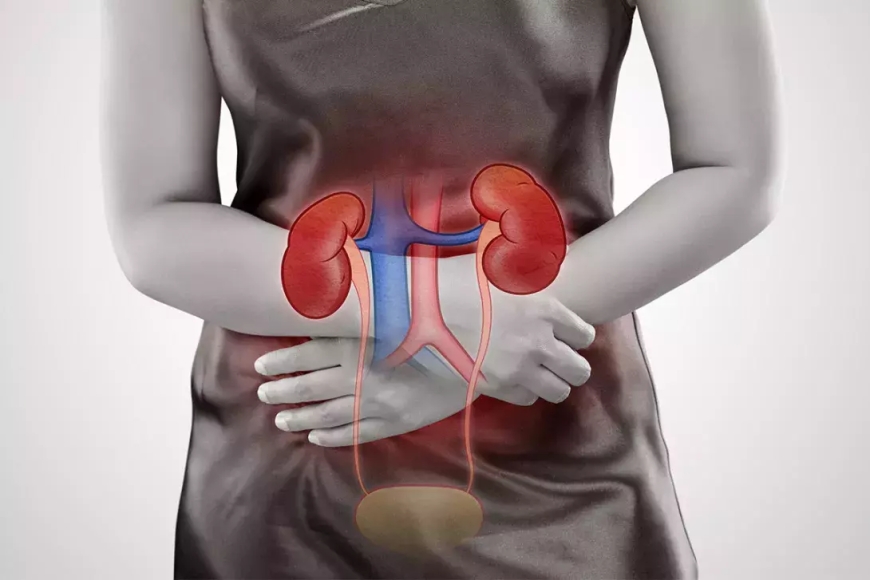 Rapid Molecular Testing for Urinary Tract Infections: A Game-Changer for Patient Care