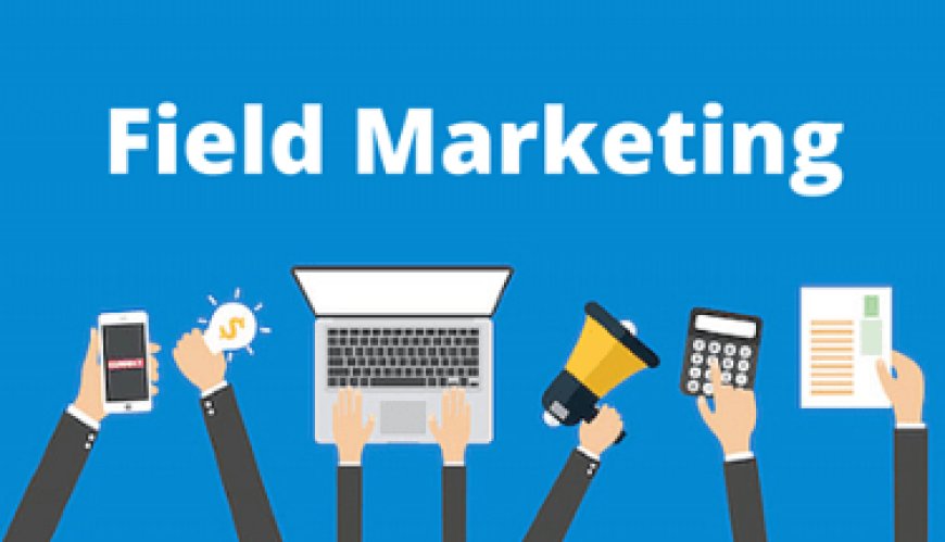 How Can a Field Sales and Marketing Agency Help You Grow?