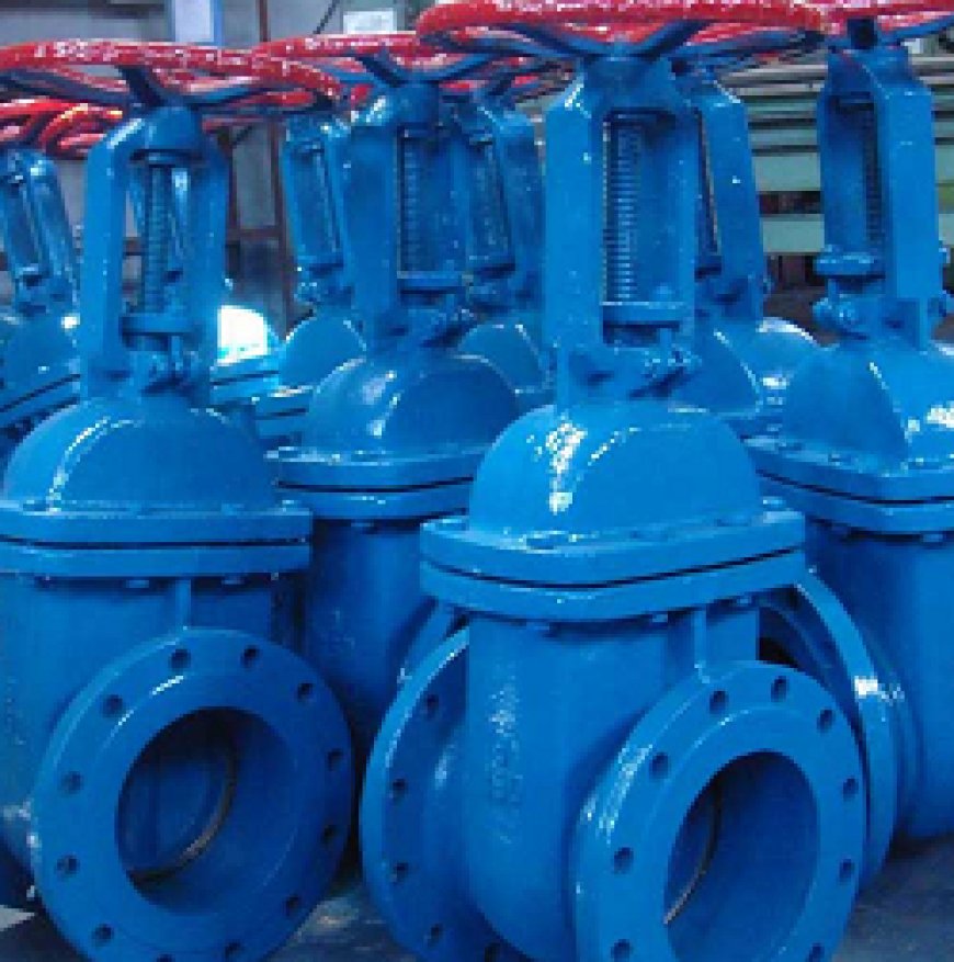 GATE VALVE MANUFACTURERS IN INDIA