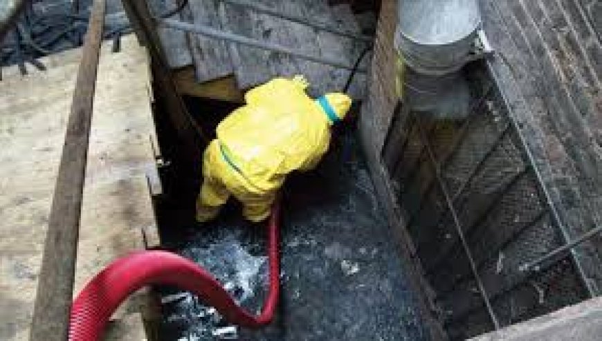 Water Damage Cleanup A Simple Guide to Fixing Your Home