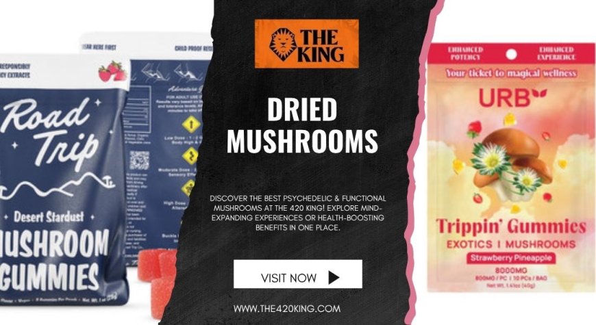 Why Dried Mushrooms Are Taking Over Florida’s Wellness Scene