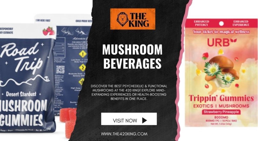 Refreshing and Functional: The Rise of Mushroom Beverages in Florida
