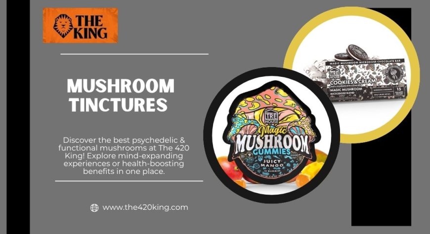Mushroom Tinctures in Florida: The Natural Boost You’ve Been Searching For