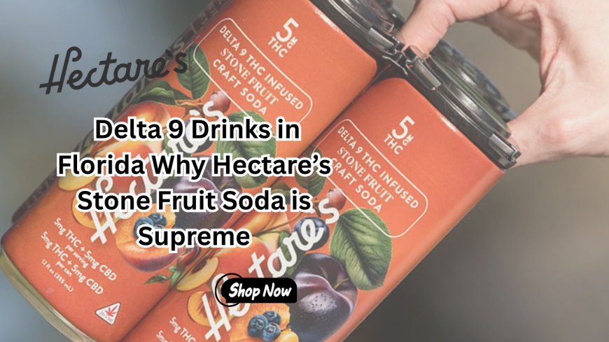 Delta 9 Drinks in Florida Why Hectare’s Stone Fruit Soda is Supreme