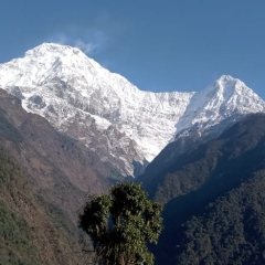 Sherpaexp
